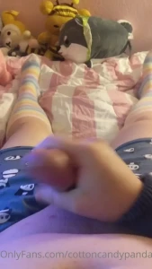 CottonCandyPanda
