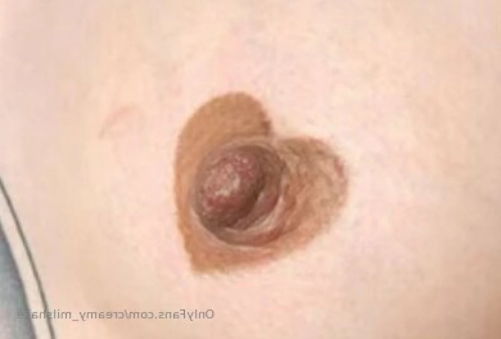 creamy_milshake Onlyfans leaked photo 15726878 on Hotleaks.tv