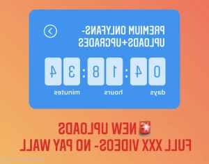 13661267