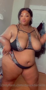 15289811
