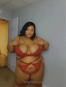 16299650