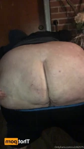 15318119
