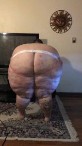 15632843