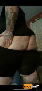 15955977