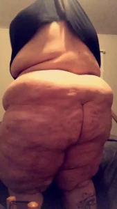 16296404
