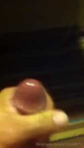 16239651