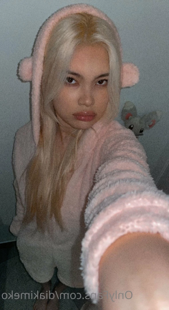 dia chan [ diakimeko ] Onlyfans leaked photo 15244076 on Hotleaks.tv