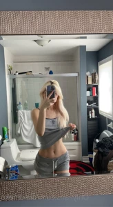 15246064