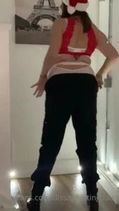 16271238