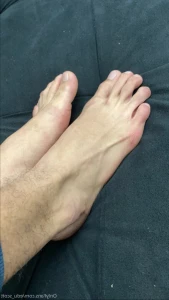 16124431