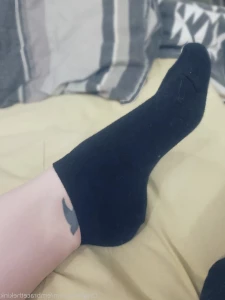 16041257