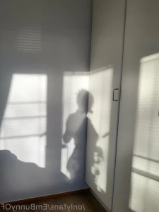 12271492