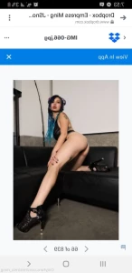 16209265