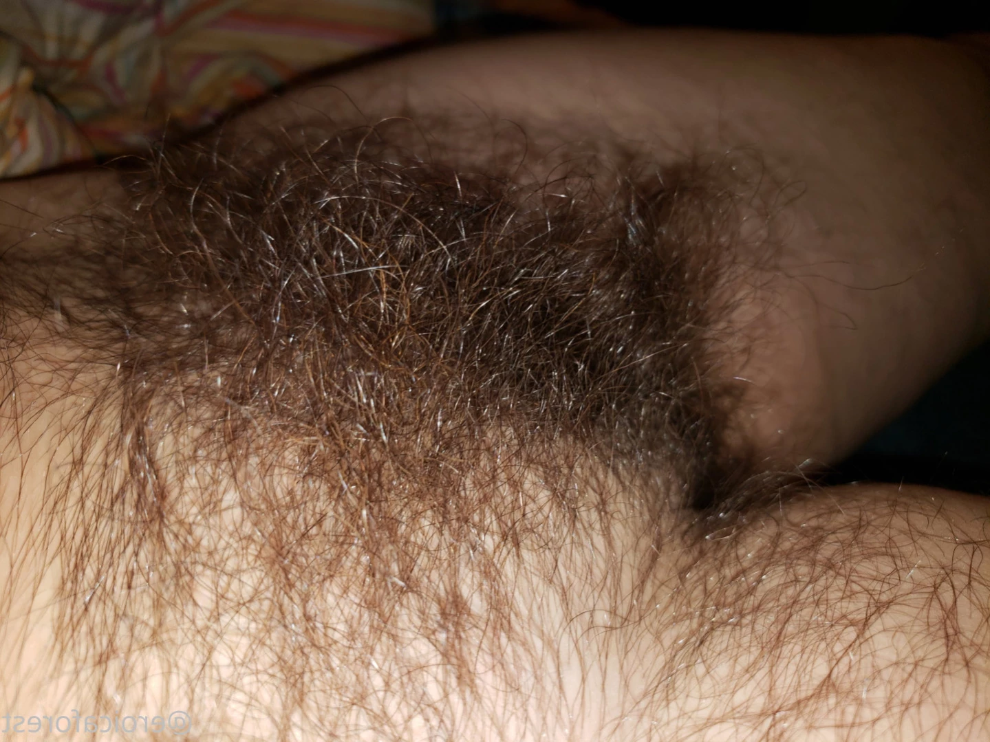 Eroica Forest [ eroicaforest ] Onlyfans leaked photo 12150051 on Hotleaks.tv