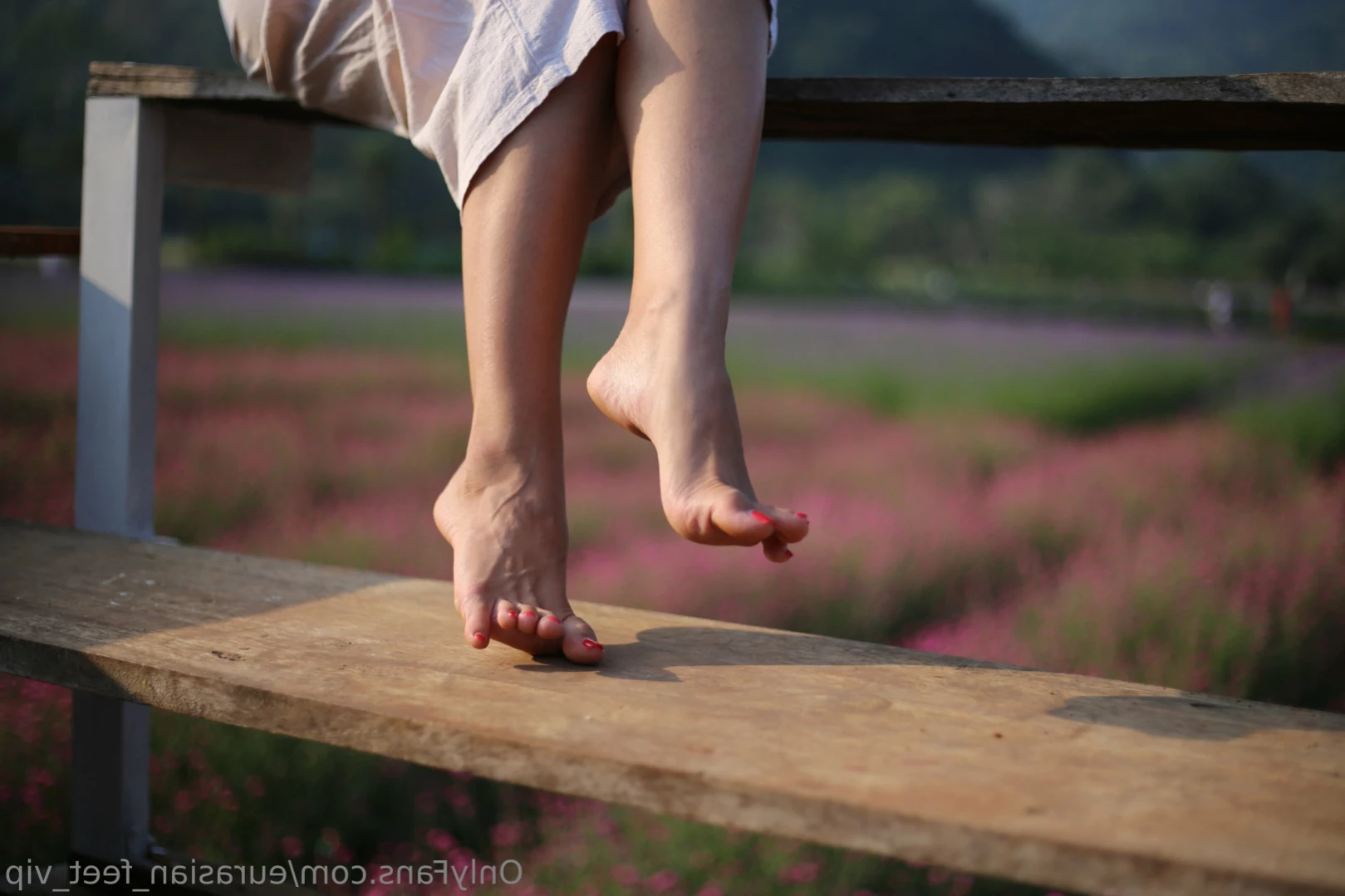 Eurasian Feet VIP [ eurasian_feet_vip ] Onlyfans leaked photo 10921132 on Hotleaks.tv