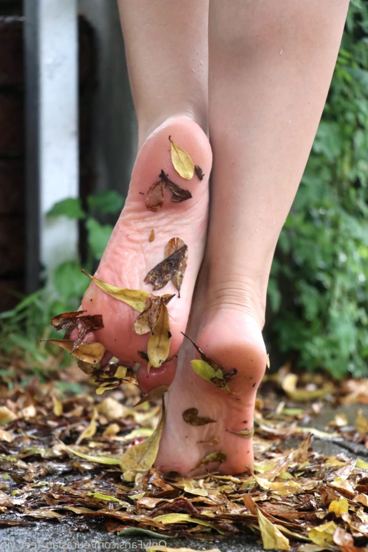 Eurasian Feet VIP [ eurasian_feet_vip ] Onlyfans leaked photo 10997032 on Hotleaks.tv