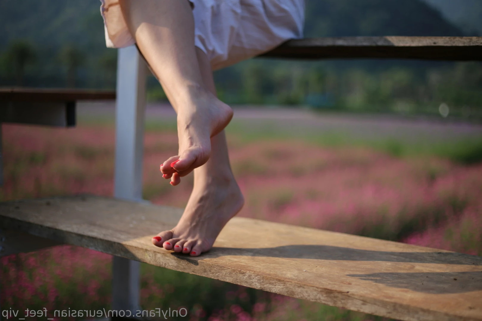 Eurasian Feet VIP [ eurasian_feet_vip ] Onlyfans leaked photo 11581669 on Hotleaks.tv