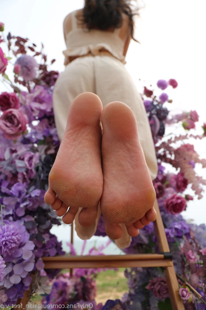 Eurasian Feet VIP [ eurasian_feet_vip ] Onlyfans leaked photo 11582719 on Hotleaks.tv
