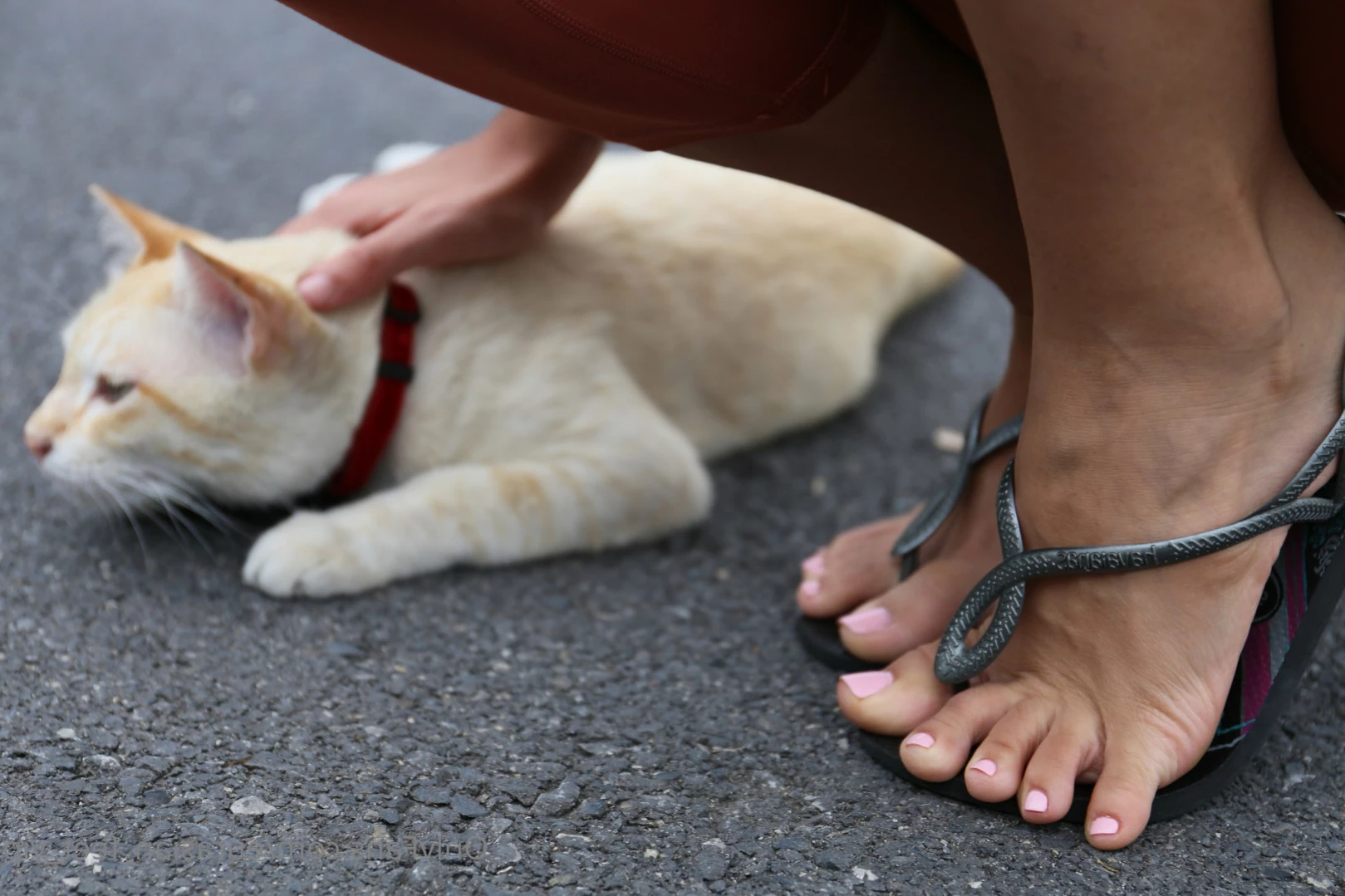 Eurasian Feet VIP [ eurasian_feet_vip ] Onlyfans leaked photo 11582786 on Hotleaks.tv