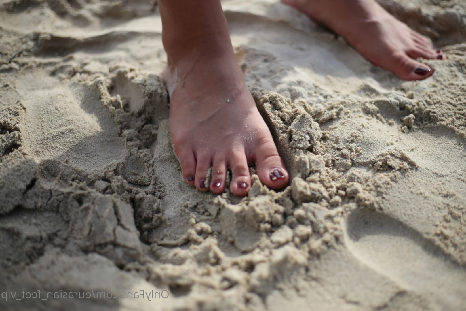 Eurasian Feet VIP [ eurasian_feet_vip ] Onlyfans leaked photo 11607108 on Hotleaks.tv