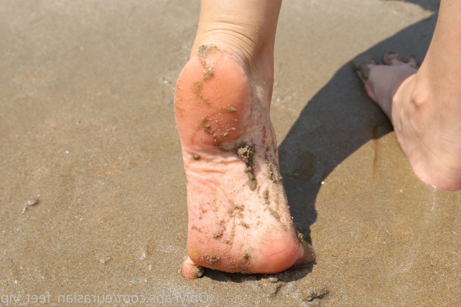 Eurasian Feet VIP [ eurasian_feet_vip ] Onlyfans leaked photo 11607129 on Hotleaks.tv