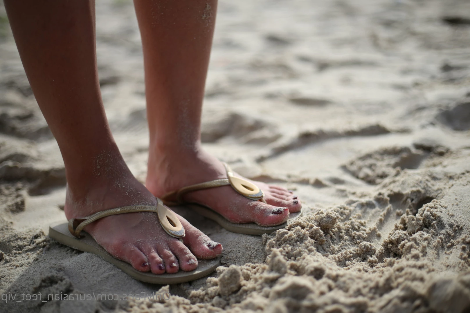 Eurasian Feet VIP [ eurasian_feet_vip ] Onlyfans leaked photo 11645129 on Hotleaks.tv
