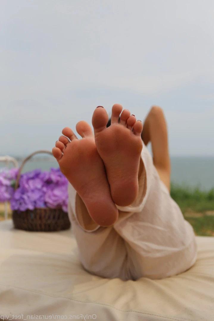Eurasian Feet VIP [ eurasian_feet_vip ] Onlyfans leaked photo 12227045 on Hotleaks.tv