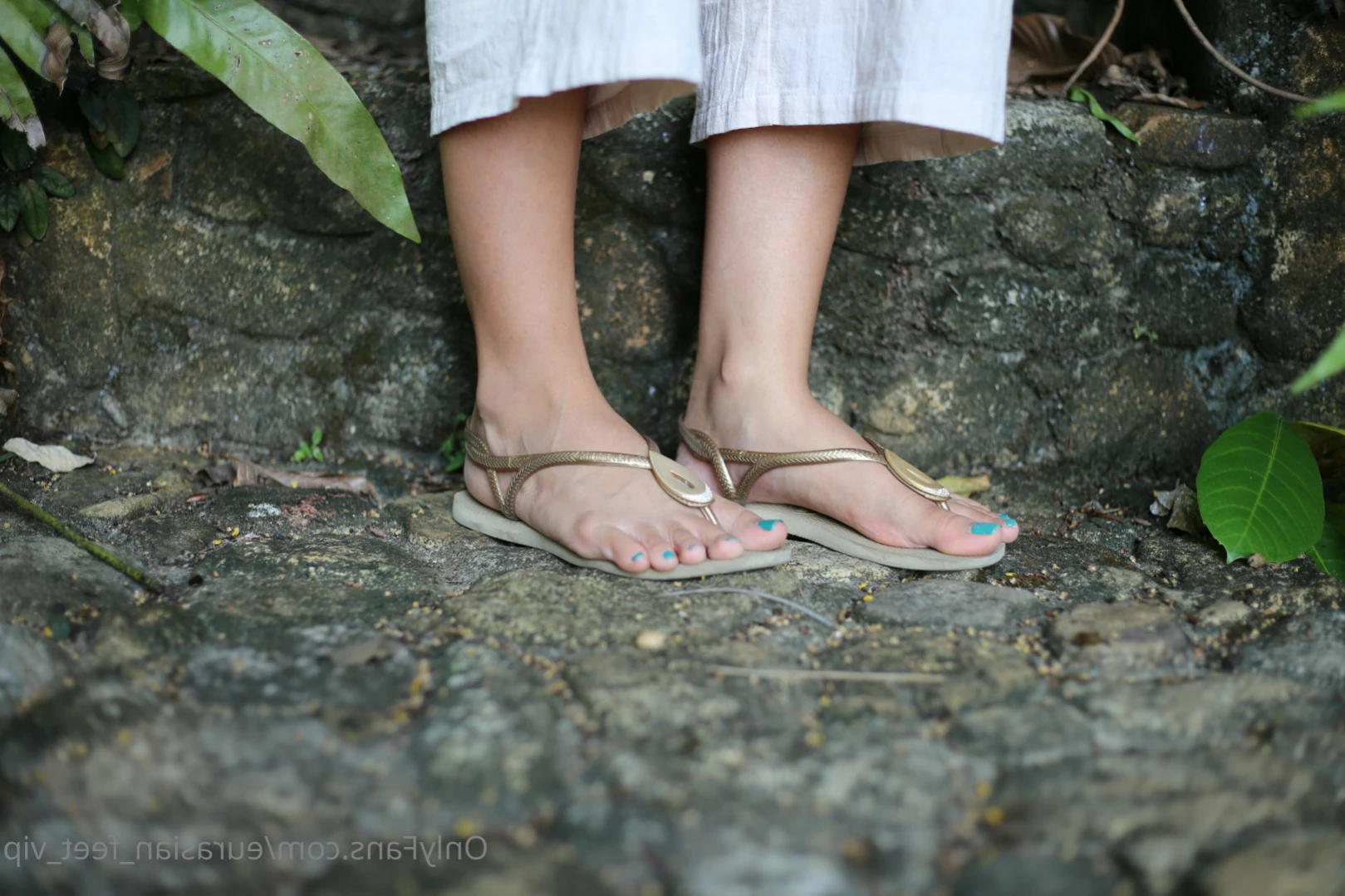 Eurasian Feet VIP [ eurasian_feet_vip ] Onlyfans leaked photo 12227569 on Hotleaks.tv