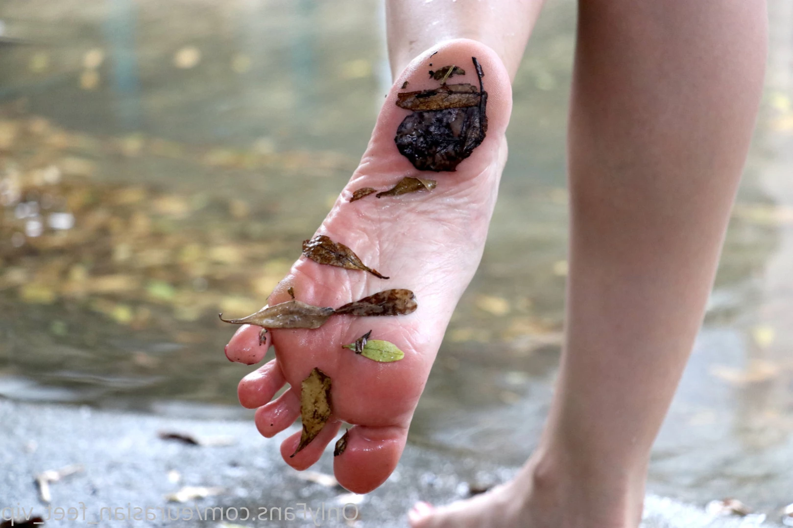 Eurasian Feet VIP [ eurasian_feet_vip ] Onlyfans leaked photo 12228633 on Hotleaks.tv