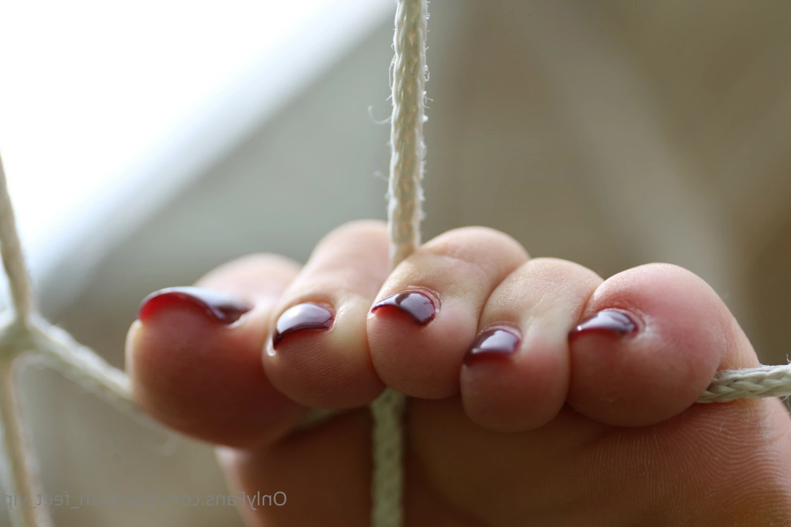Eurasian Feet VIP [ eurasian_feet_vip ] Onlyfans leaked photo 12231830 on Hotleaks.tv
