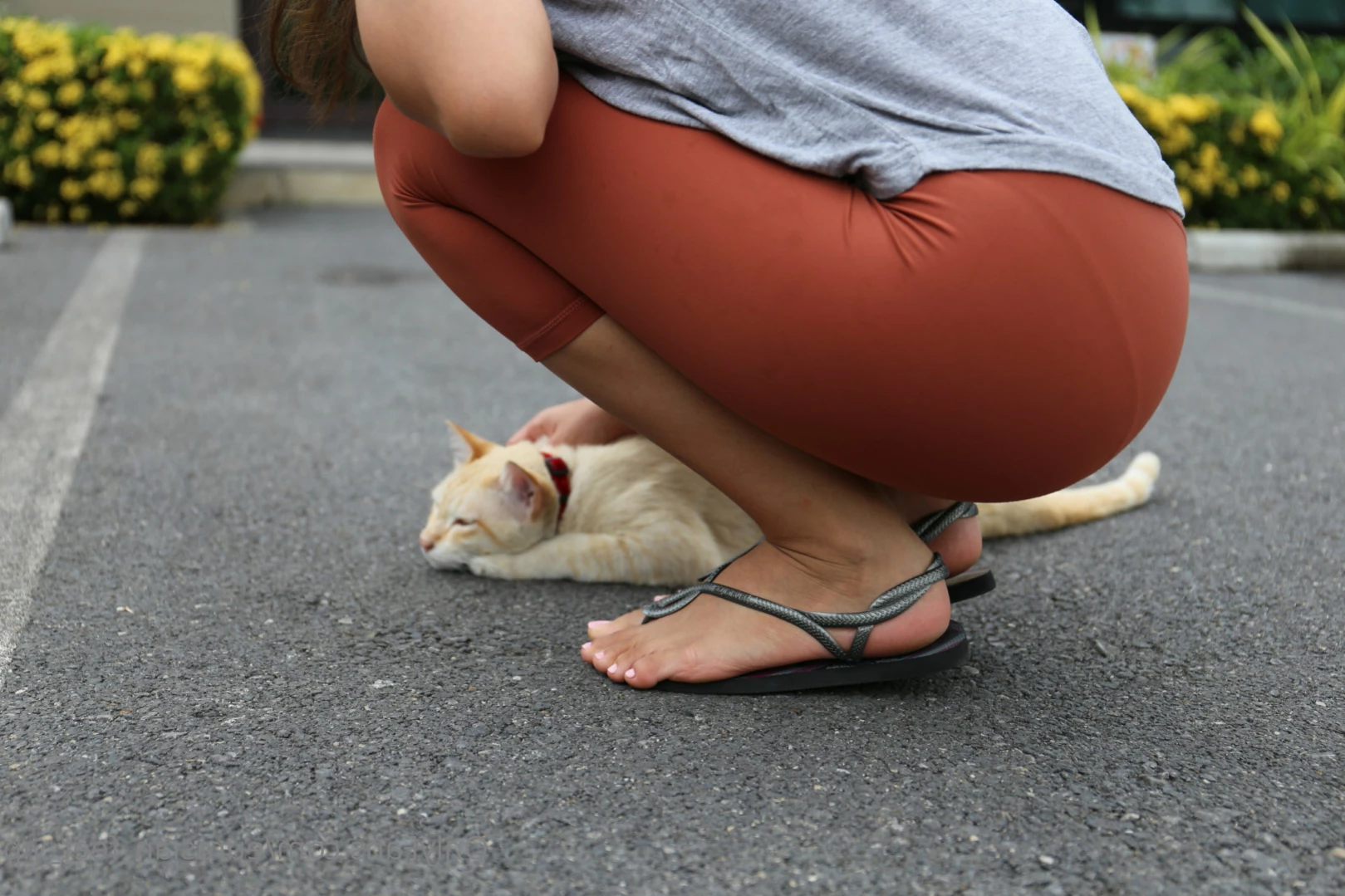Eurasian Feet VIP [ eurasian_feet_vip ] Onlyfans leaked photo 12233323 on Hotleaks.tv