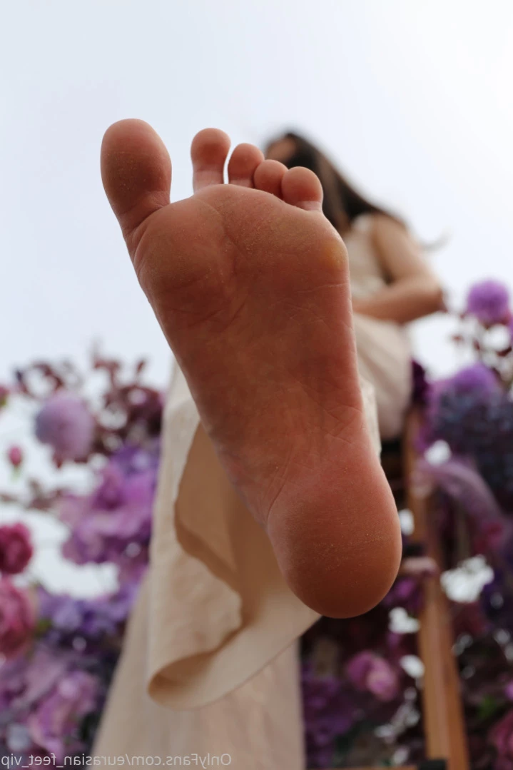 Eurasian Feet VIP [ eurasian_feet_vip ] Onlyfans leaked photo 12248938 on Hotleaks.tv