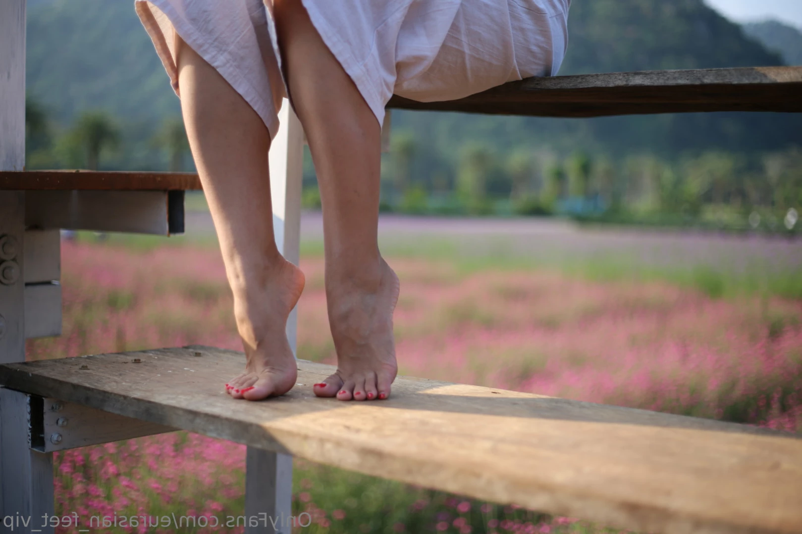 Eurasian Feet VIP [ eurasian_feet_vip ] Onlyfans leaked photo 15261957 on Hotleaks.tv
