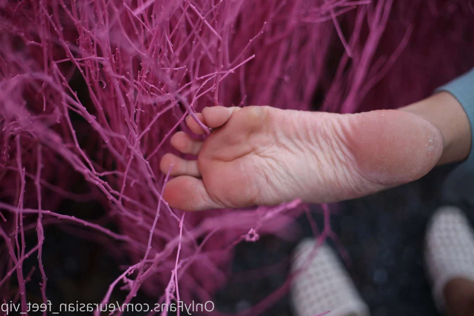 Eurasian Feet VIP [ eurasian_feet_vip ] Onlyfans leaked photo 15982948 on Hotleaks.tv