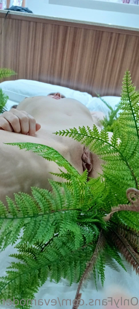 Eva Moderninha [ evamoderninha ] Onlyfans leaked photo 12225293 on Hotleaks.tv