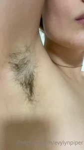 12704175