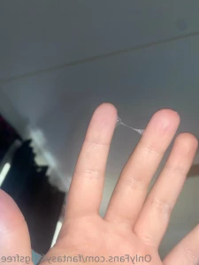 12065893