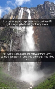 12344239