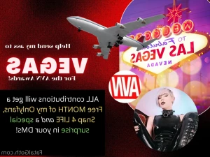 15645102
