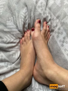 14064426