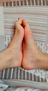 15729587