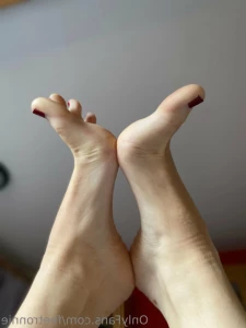 15986646