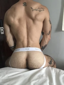 15648544