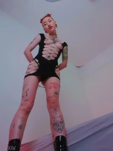 16054265