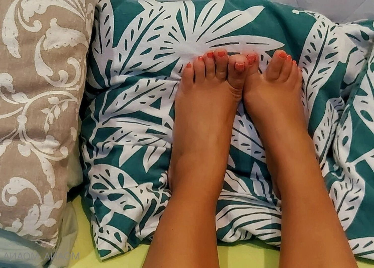 MOANA☆VIP☆ [ firebird_ash ] Onlyfans leaked photo 15660731 on Hotleaks.tv