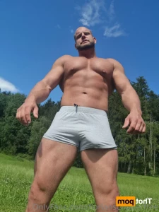 14876533