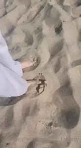 13034395