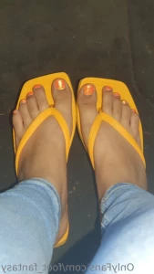 15213658