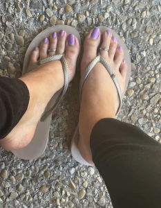 11568511