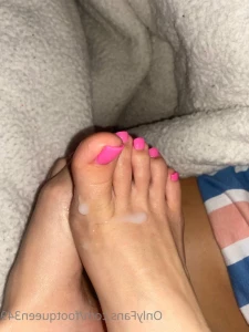 15657491